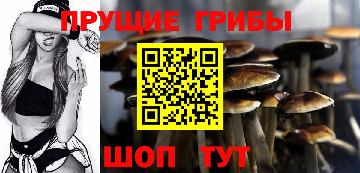 Галлюциногенные грибы мухоморы Михайловск